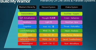 Hierarchy of life skills and parallel systems | buildmywarrior Hierarchy of life skills and parallel systems